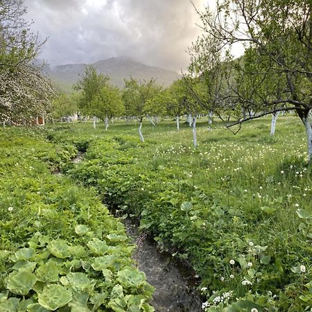 Farmstead Green Haven Mojkovac Exterior foto