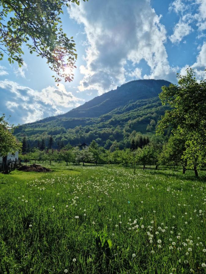 Farmstead Green Haven Mojkovac Exterior foto