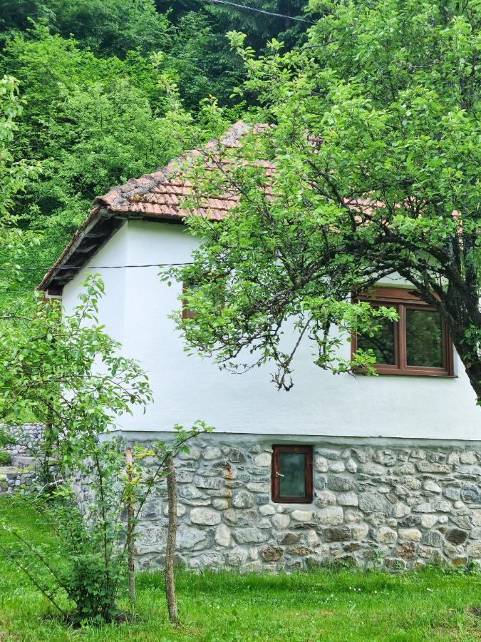 Farmstead Green Haven Mojkovac Exterior foto