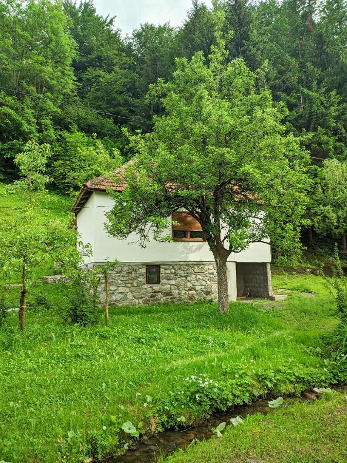 Farmstead Green Haven Mojkovac Exterior foto